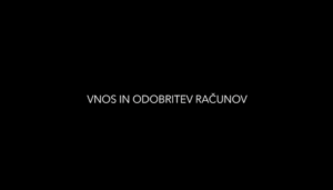 Vnos in odobritev računov